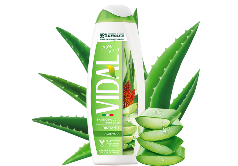 aloe vera